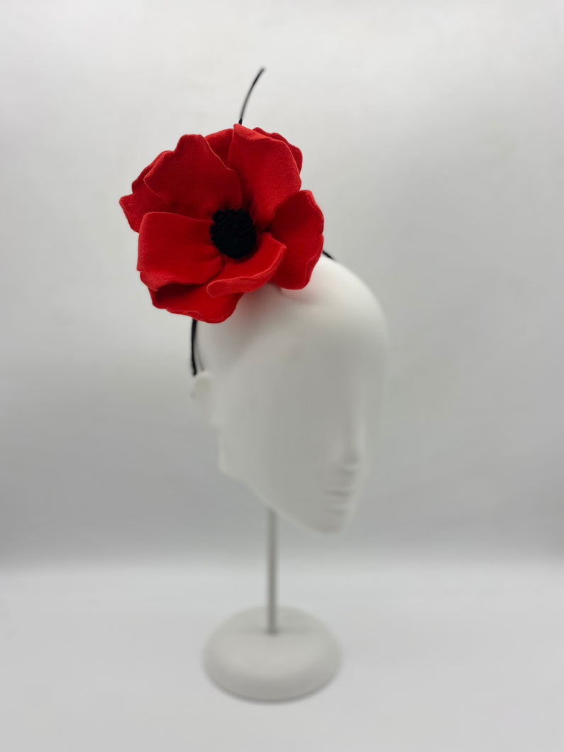 Poppy