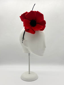 Poppy